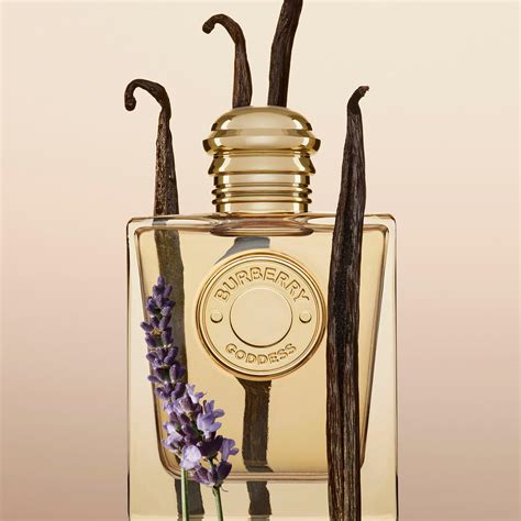 burberry perfume vanilla|where to buy burberry goddess.